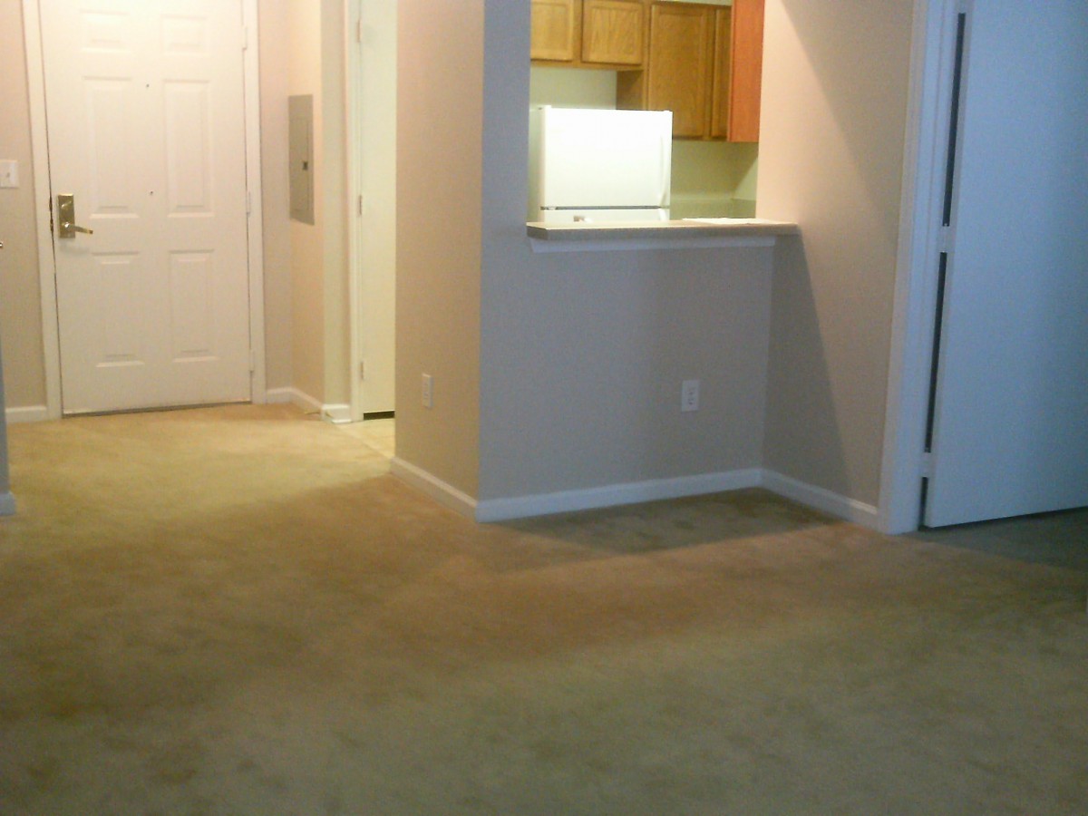 An empty apartment interior featuring a carpeted living room and a view into the kitchen area.