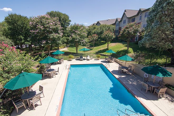 A sunny outdoor swimming pool area with green umbrellas, surrounded by trees and buildings.