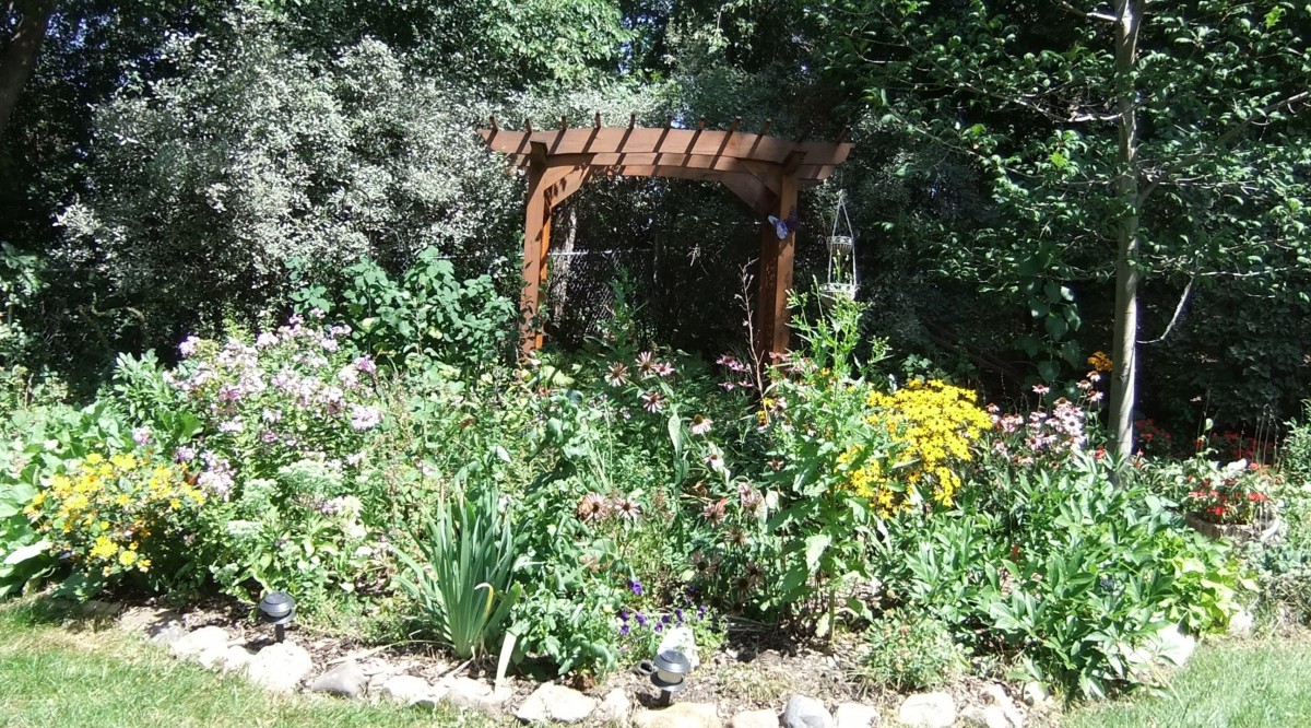 A lush garden with a wooden pergola surrounded by various flowering plants and greenery.