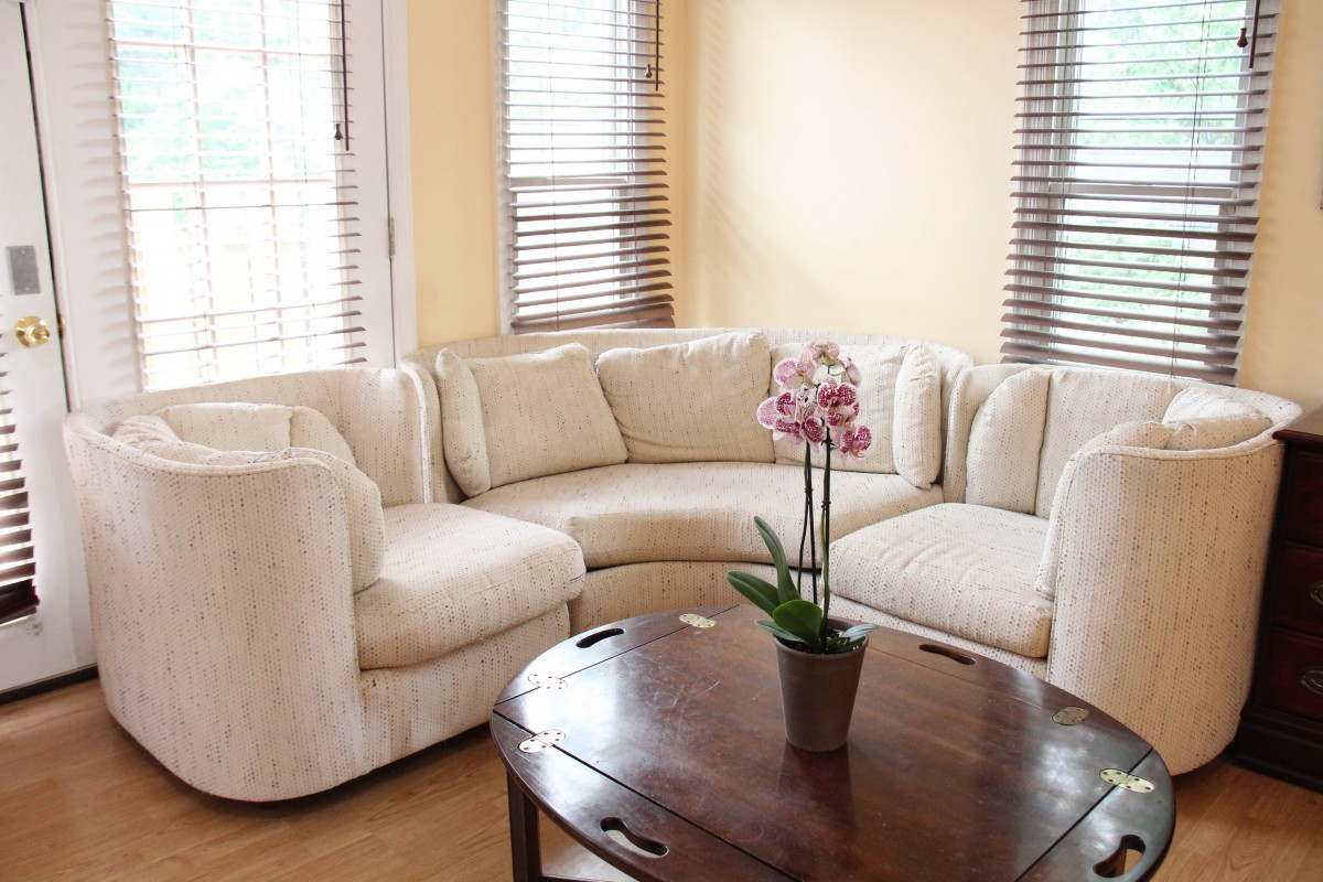 A cozy living room with a cream sectional sofa and a wooden coffee table adorned with an orchid.