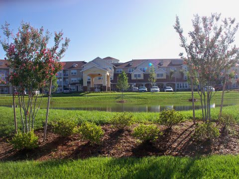 A residential building surrounded by greenery and a pond on a sunny day.