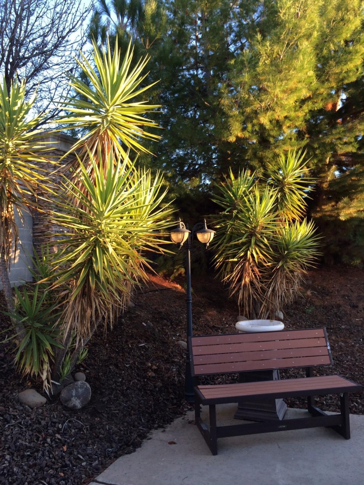 A serene garden scene with a bench, lamp post, and sunlit plants.