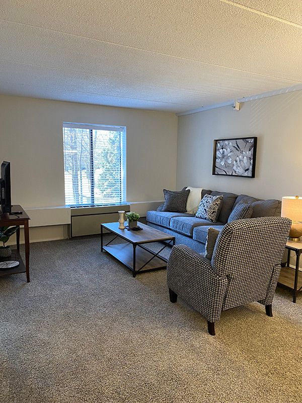 A cozy living room with a sofa, armchair, coffee table, and television.