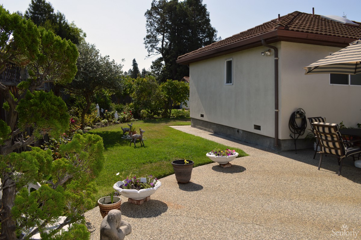 A beautifully landscaped garden beside a house on a sunny day.