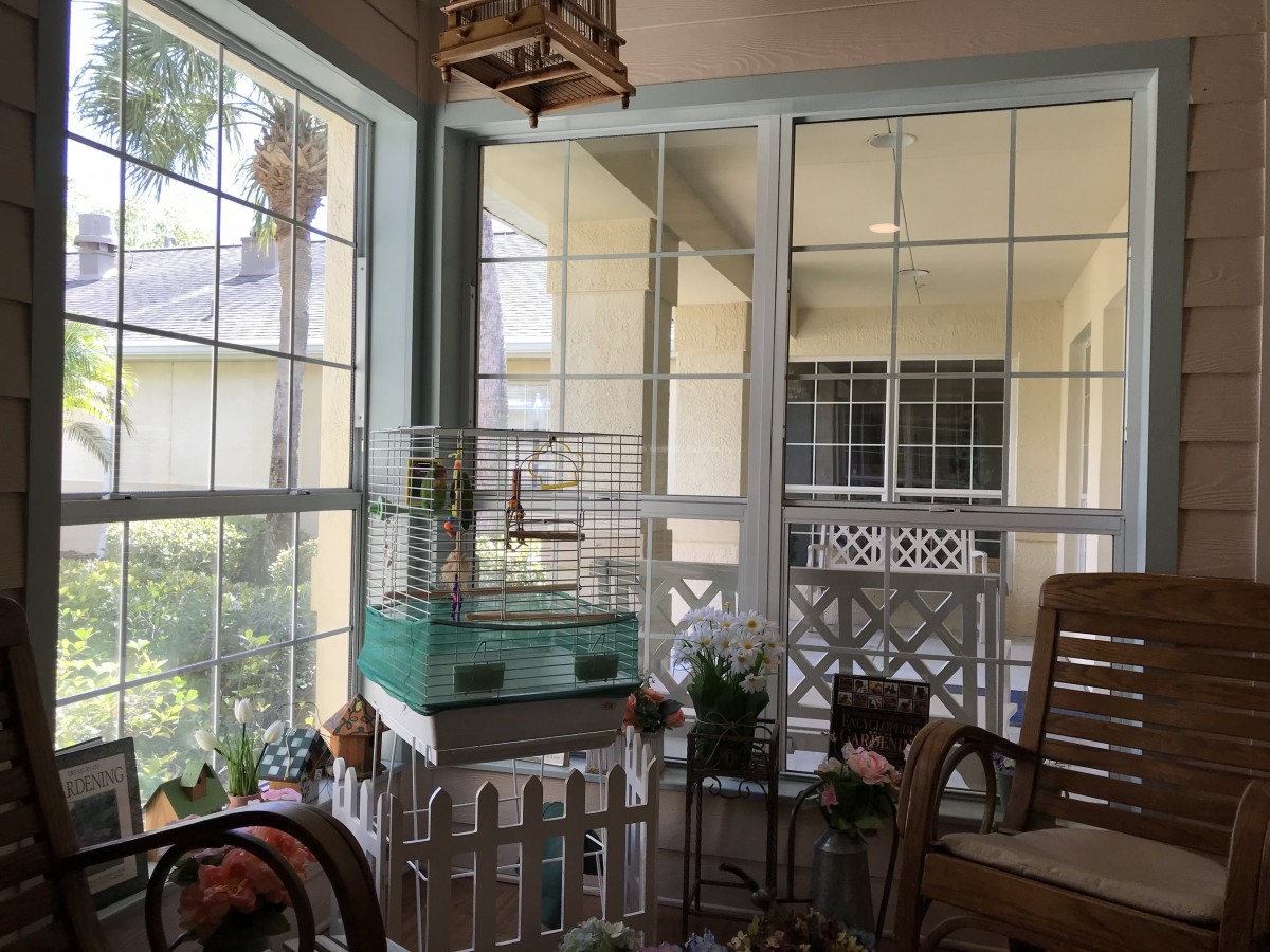 A cozy sunroom with large windows, various plants, and comfortable seating.