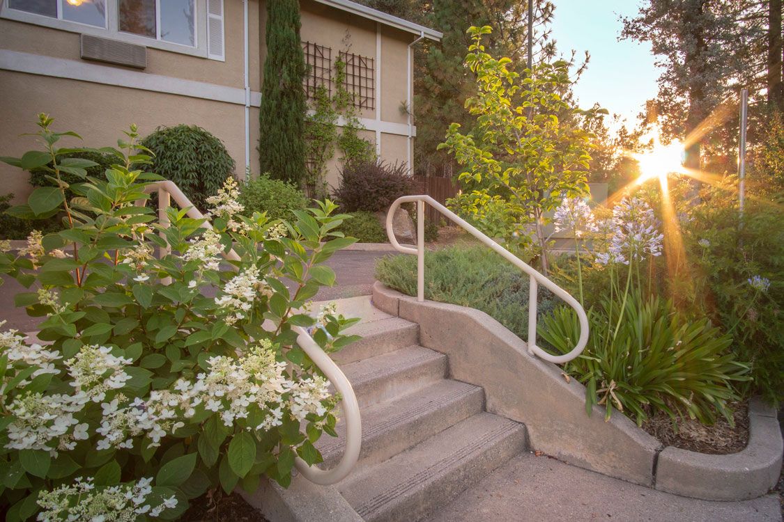 Sunlit garden with steps leading to a cozy home entrance.