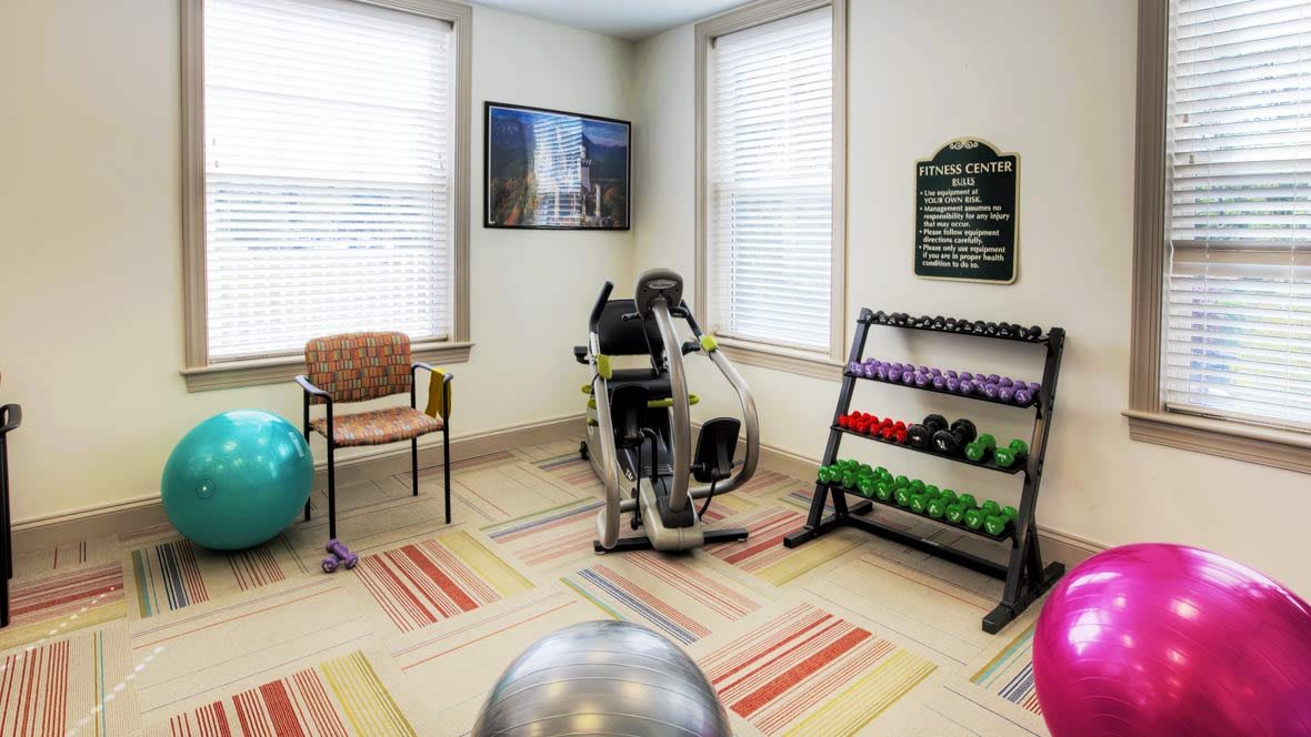 A home gym setup featuring an elliptical machine, a rack of dumbbells, and exercise balls in a bright room.