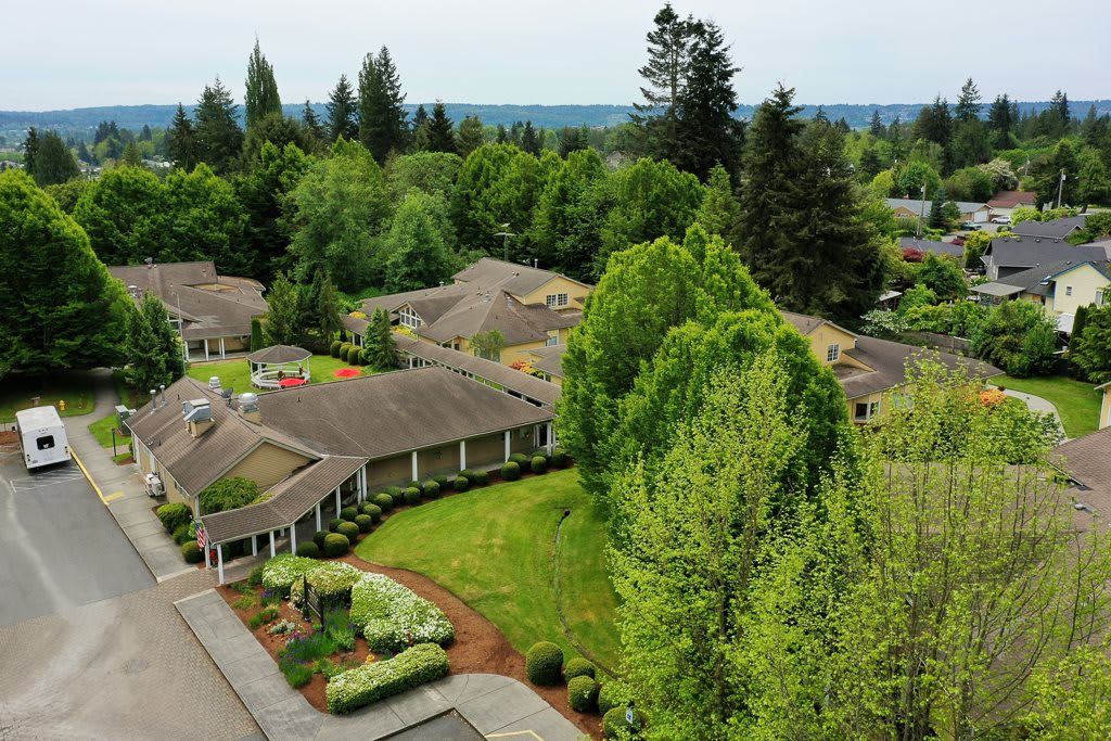 Aerial view of a suburban neighborhood surrounded by lush greenery and trees.