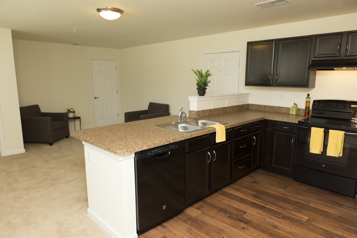 A modern kitchen with dark cabinets and a spacious countertop.