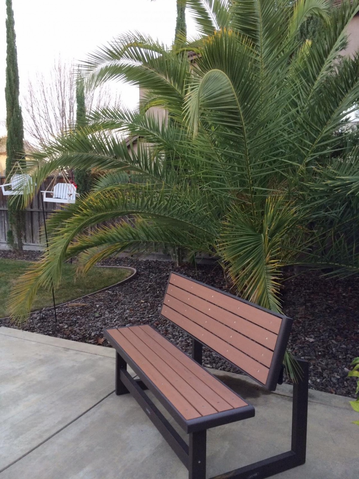 A wooden bench placed near a palm tree along a sidewalk in a garden setting.