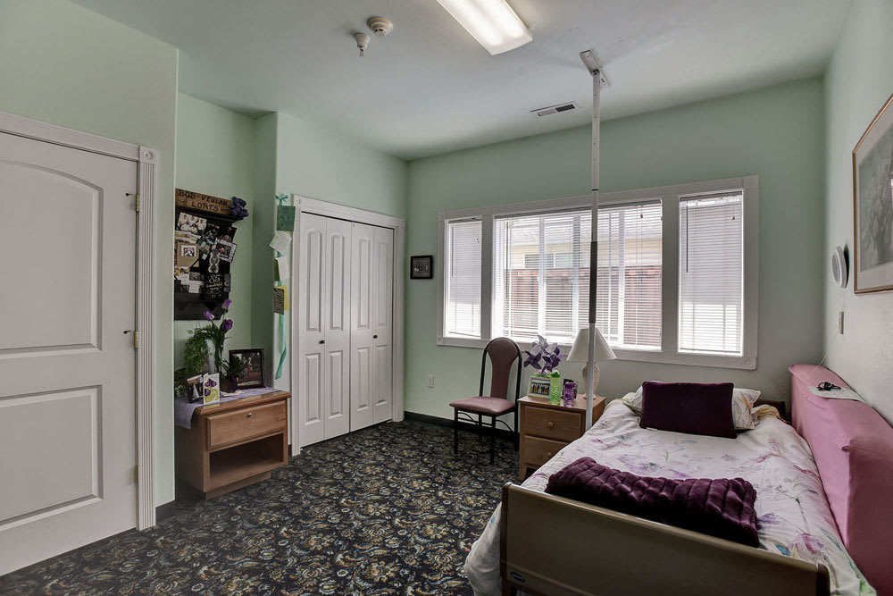 A cozy bedroom with a single bed, carpeted floor, and ample natural light from the windows.