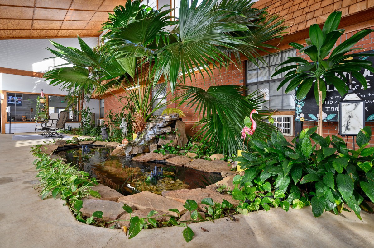 A serene indoor garden featuring a central pond surrounded by lush tropical plants and a brick wall backdrop.