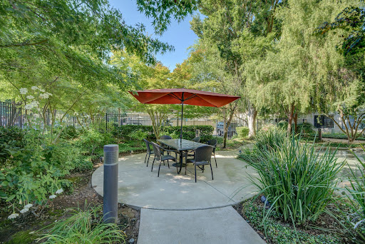 A serene outdoor garden space featuring a shaded table and chairs under a vibrant umbrella, surrounded by lush greenery.