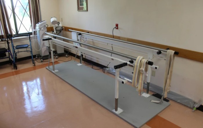 A set of parallel bars used for physical therapy and rehabilitation exercises in an indoor facility.