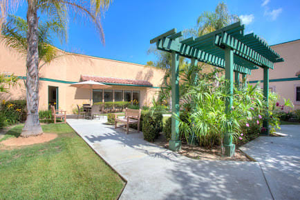 A sunny patio with a pergola and lush greenery.