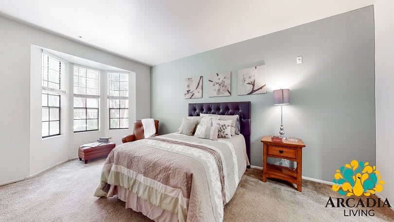 A cozy bedroom with a stylish bed, decorative pillows, and wall art above the headboard. A nightstand with a lamp sits beside the bed, near a large window that brightens the room.