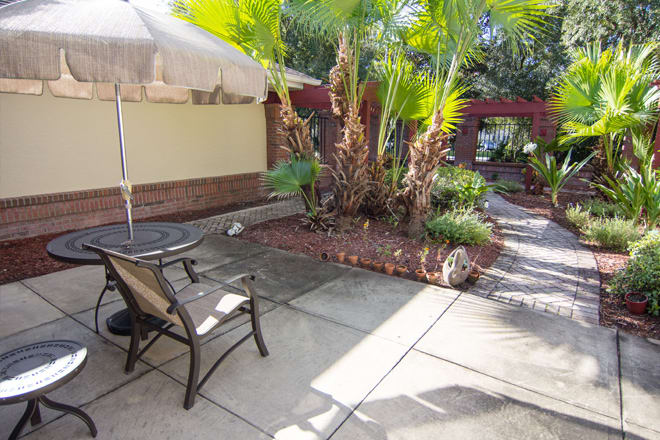 A sunny patio area with outdoor seating and palm trees.