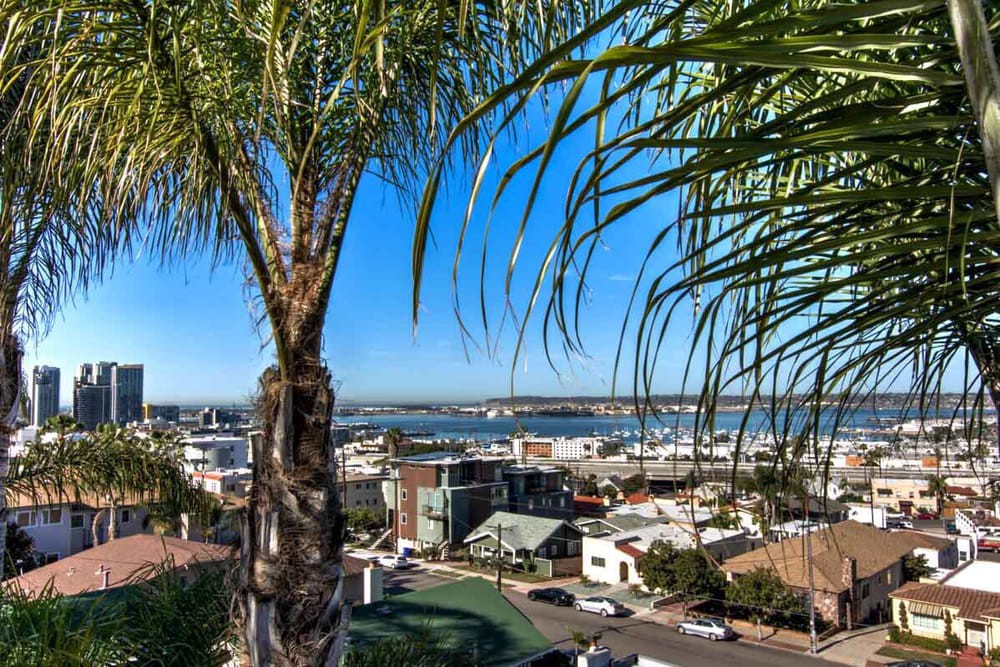 A scenic view of a city with palm trees and the ocean in the background.