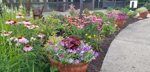 A vibrant garden full of blooming flowers, showcasing a variety of colors and species.