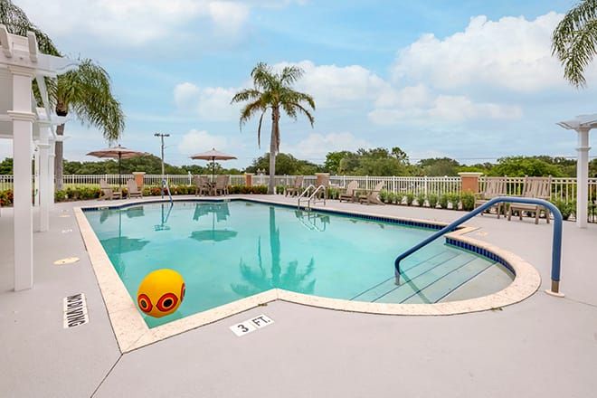 A tranquil swimming pool surrounded by palm trees under a clear sky, perfect for a relaxing vacation.
