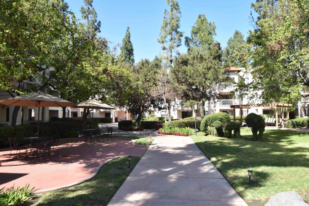 A well-maintained apartment complex with a pathway surrounded by trees and greenery.