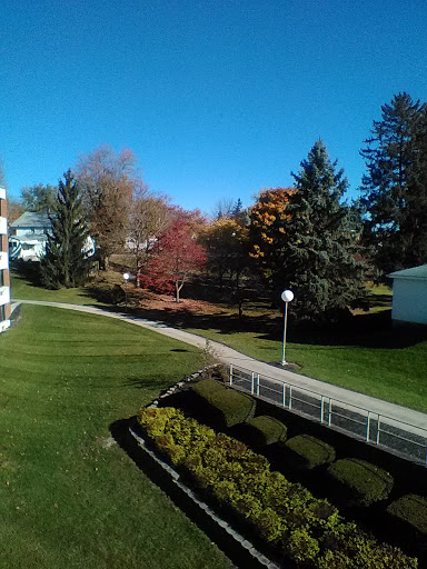 A scenic view of a park during autumn, showcasing vibrant foliage against a clear blue sky.