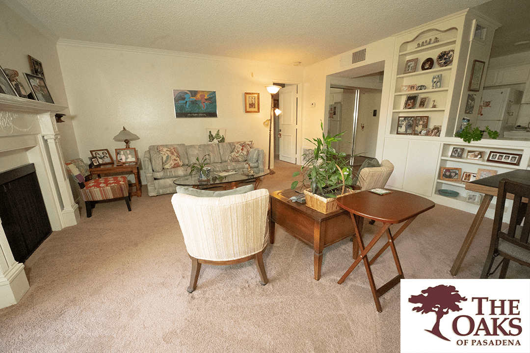 A cozy living room with comfortable seating and indoor plants.
