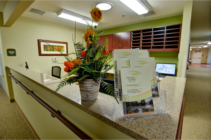 A welcoming office reception area with a floral arrangement and brochures on the desk.