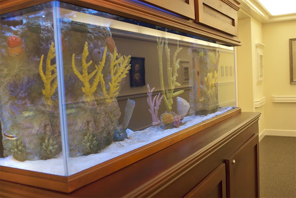 A glass aquarium with decorative plants inside, set within a wooden cabinet.