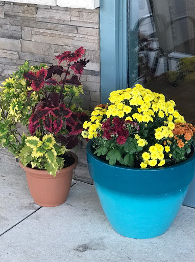 A vibrant display of potted flowers in various colors, adding a touch of nature to the entrance.