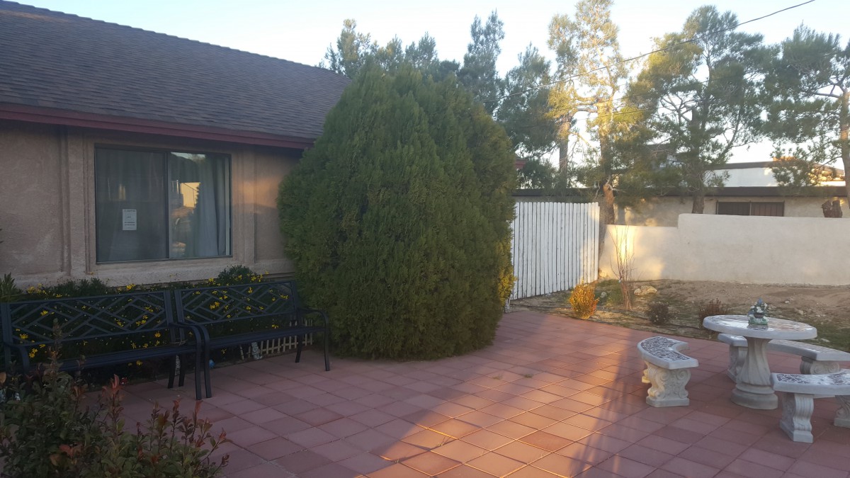 A peaceful backyard patio with a bench, trees, and a fence.