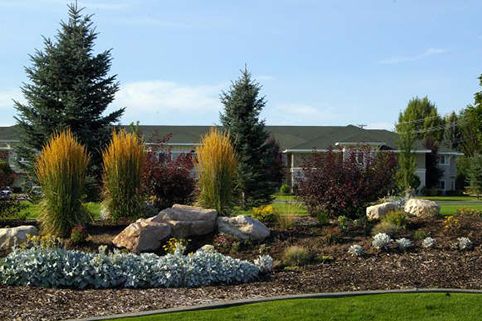 A beautifully landscaped garden featuring various trees, shrubs, and boulders under a clear blue sky.