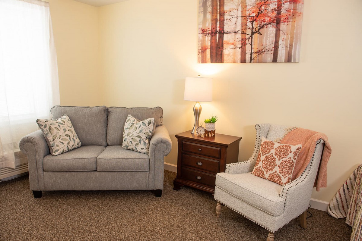 A cozy living room with a sofa and armchair, adorned with decorative pillows, a side table with a lamp, and wall art.
