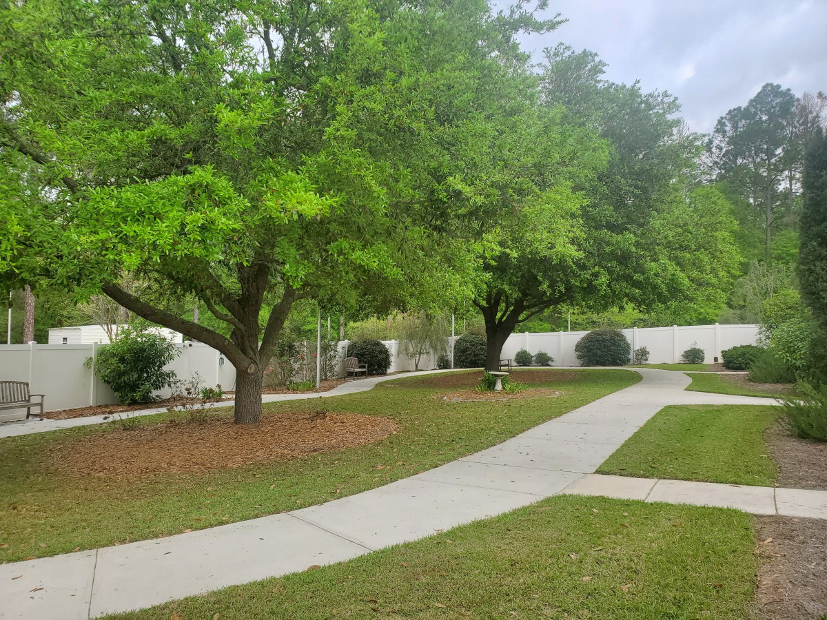 A serene garden with lush green trees and a winding pathway.