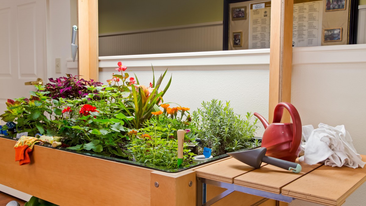 An indoor garden with a variety of plants and flowers, accompanied by gardening tools and a watering can.