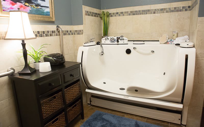 A modern bathroom featuring a walk-in bathtub and stylish interior design.