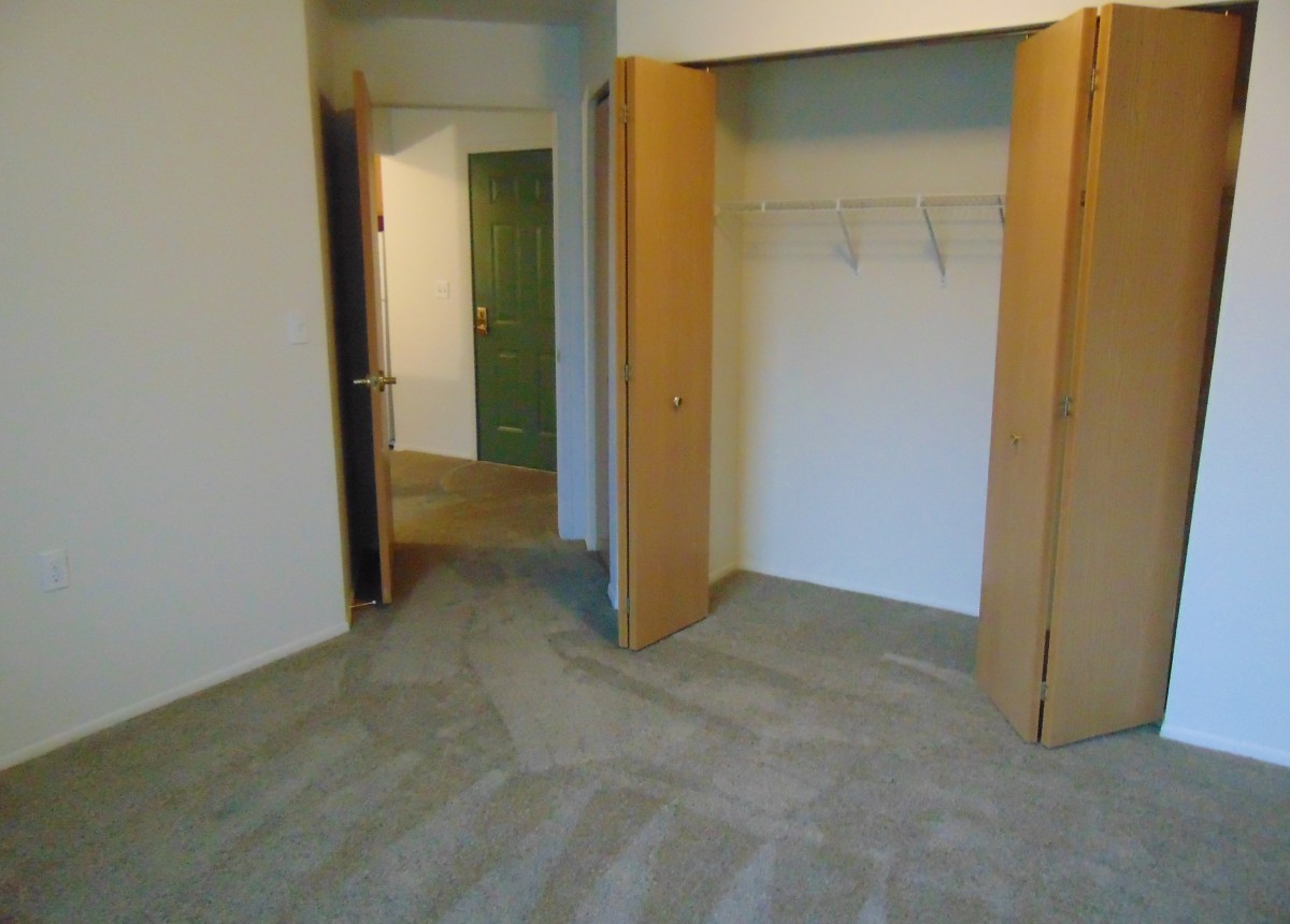 An empty room with an open closet and carpeted floor.