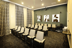 A cozy small theater room with comfortable seating and decorative wall art.
