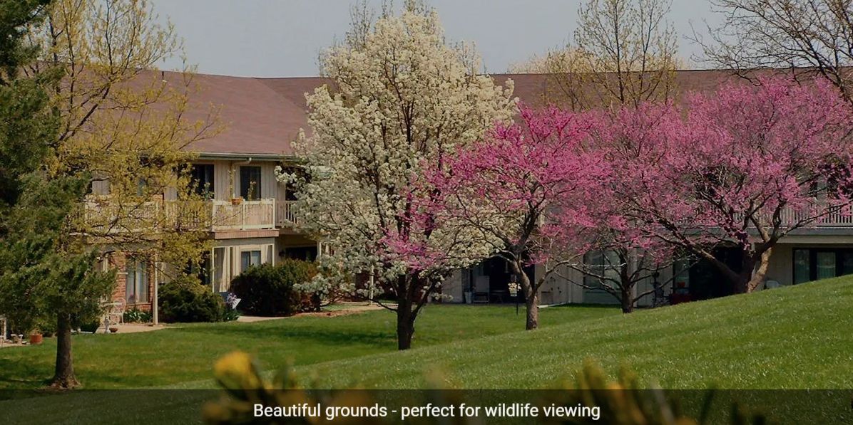 Springtime blossoms decorate a peaceful garden setting.