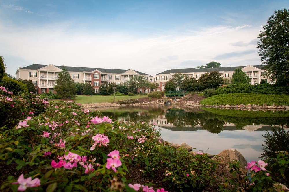 A serene garden scene with pink flowers by a pond, reflecting buildings and a cloudy sky.