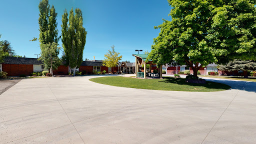 A sunny day at a school playground, featuring lush green trees and an inviting open space.