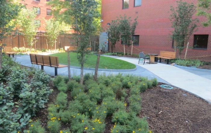 Henry J Carter Skilled Nursing Facility