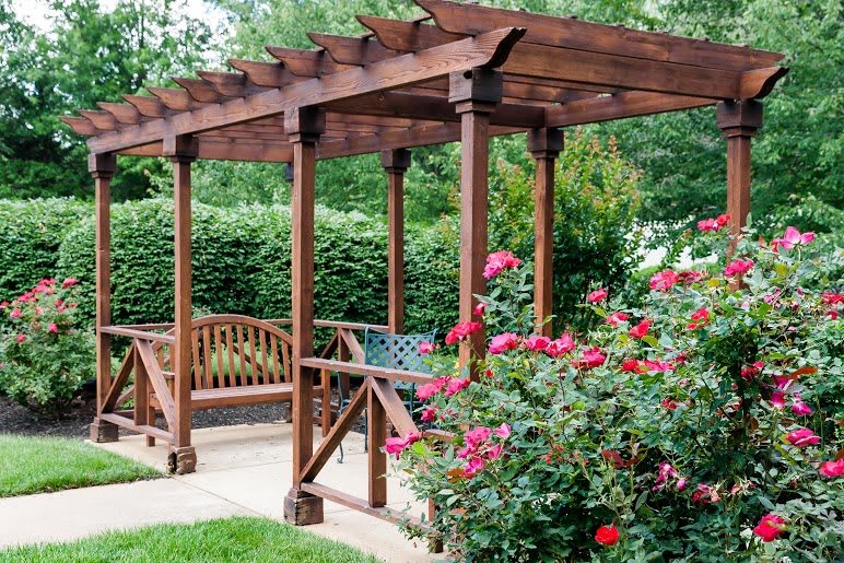 A wooden pergola in a garden with roses and benches underneath.