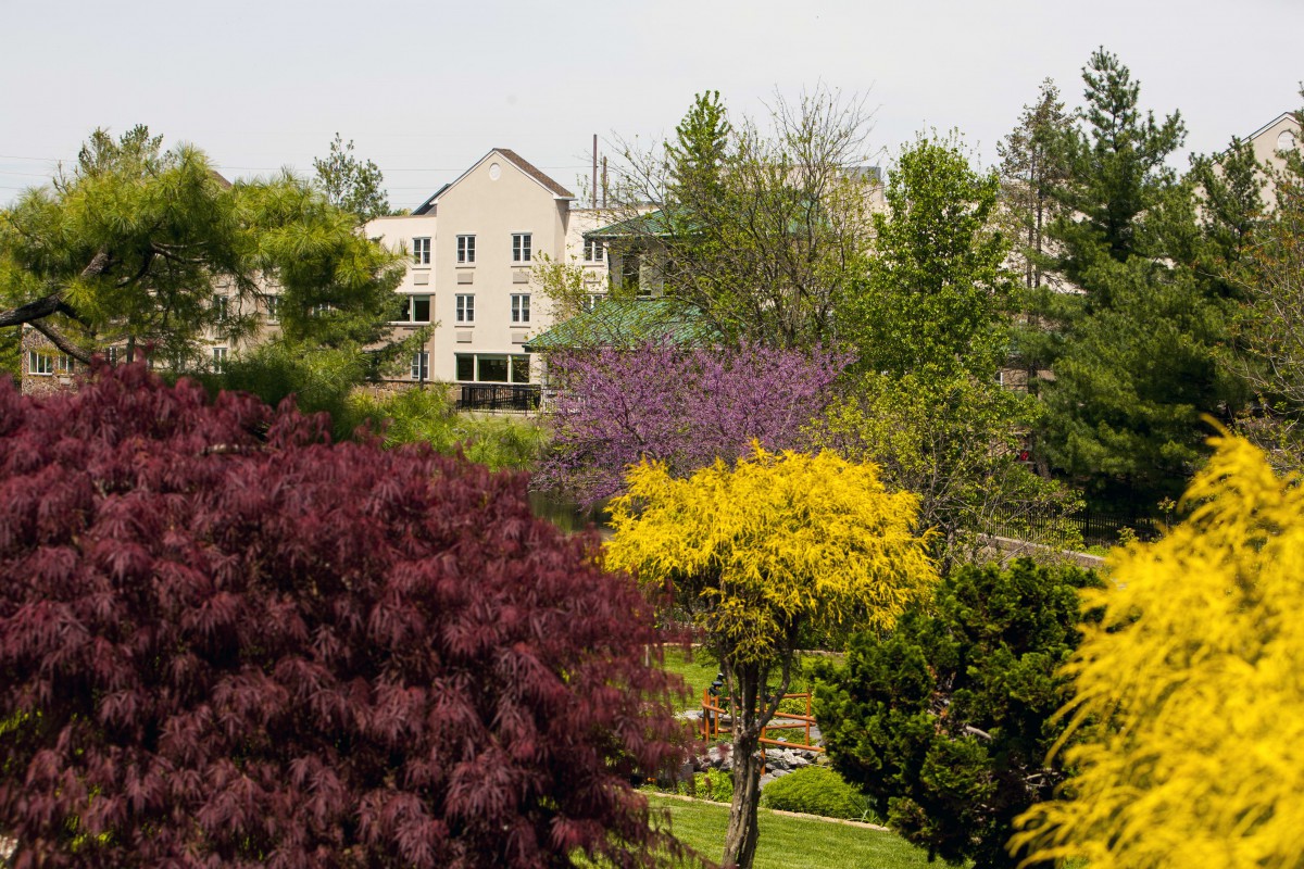 A scenic view of a garden with colorful trees and a house in the background.