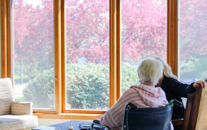 An elderly person in a wheelchair looks out a window at the vibrant nature scenery.