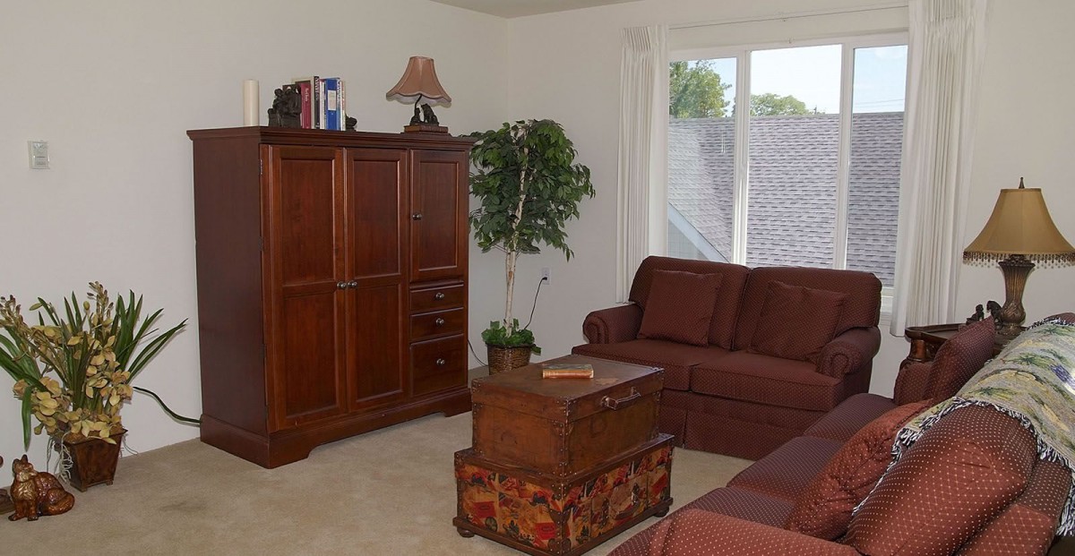 A cozy living room with a brown sofa, wooden bookshelf, coffee table, lamp, and an indoor plant by the window.