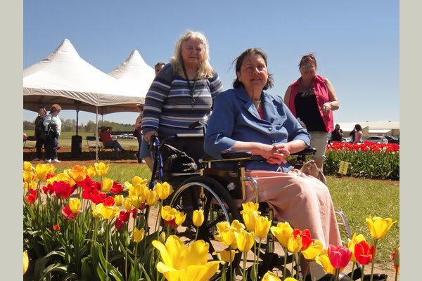 A sunny day in the garden with vibrant tulips and people enjoying the outdoors.
