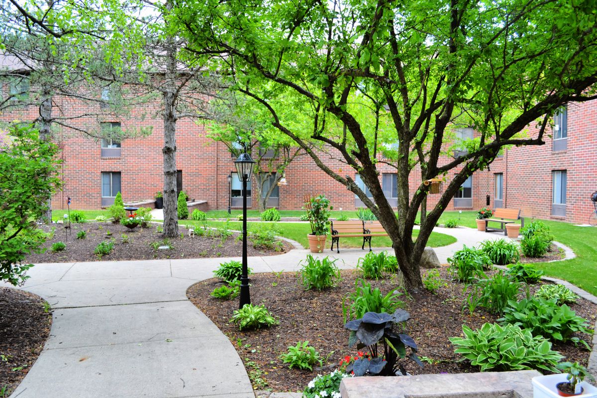 A serene courtyard with pathways surrounded by lush greenery and mature trees.