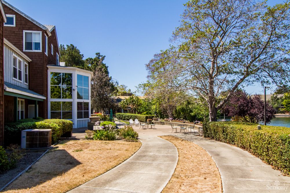 A sunny outdoor garden area with a winding pathway, surrounded by trees and buildings.
