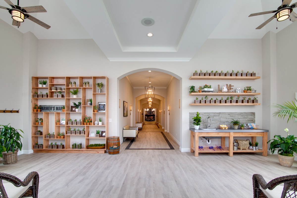 A bright, modern hallway with decorative shelves and plants, leading through an arched doorway.